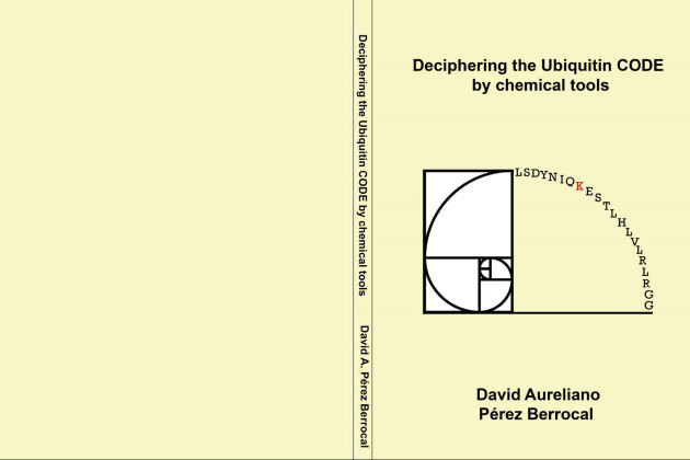 Thesis defense David A. Pérez Berrocal