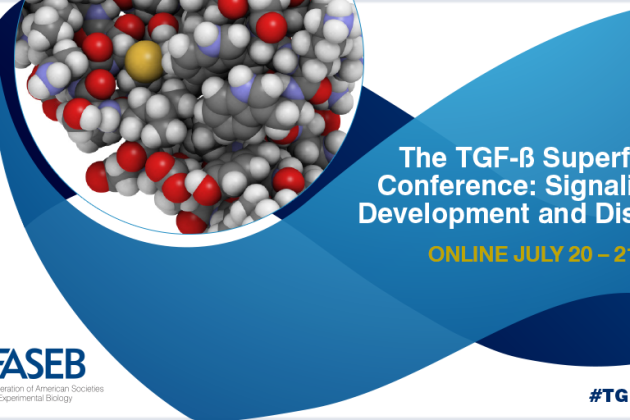 Active representation of the CCB Department at TGF-beta superfamily conference: signaling in Development and disease 