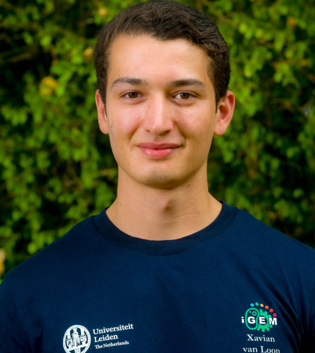 Xavian van Loon
