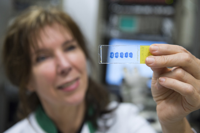 Afscheids symposium en college Prof. dr. Joke H. Meijer 