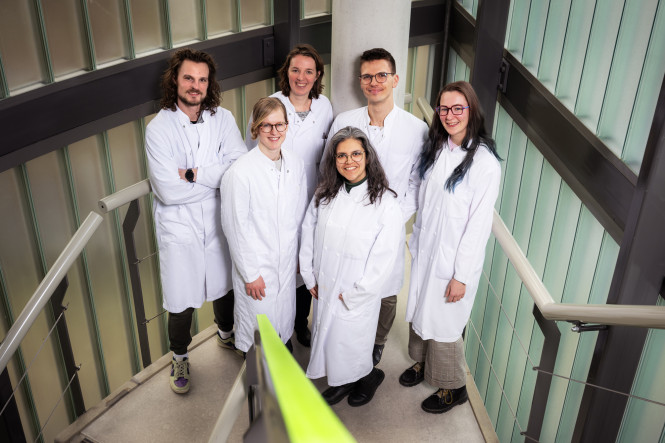 The Chemical Immunology  Lab Earns LEAF Bronze Certification