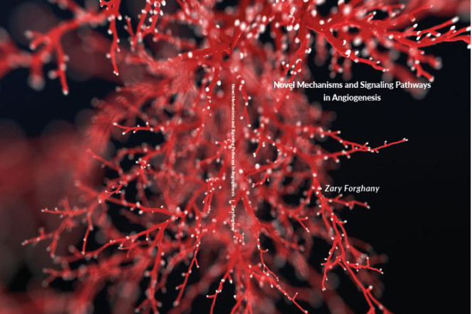 Thesis Defense Zary Forghany 