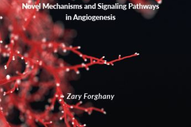 THESIS DEFENCE ZARY FORGHANY