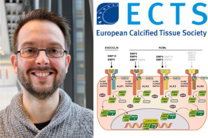 Gonzalo Sanchez-Duffhues elected member of the Young Academy of the European Calcified Tissue Society.