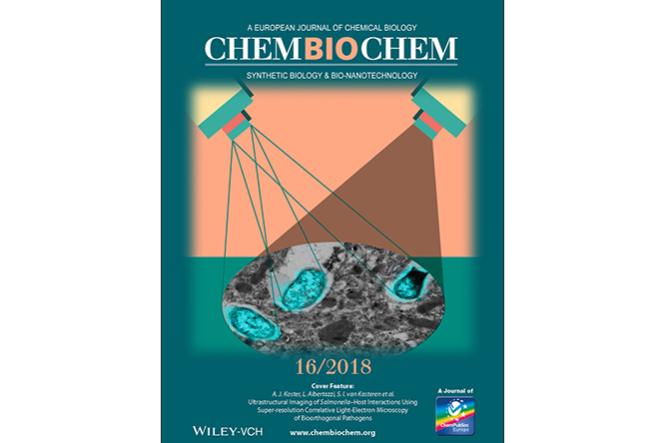Publication makes cover of ChemBioChem