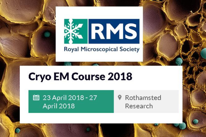 Bram Koster gave a Keynote lecture at the RMS Cryo EM Course